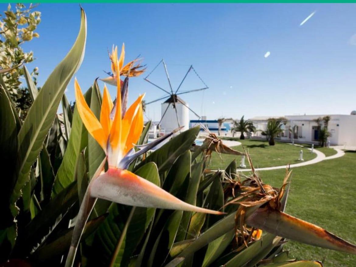 Windmill Hill Luxury Apartamento *